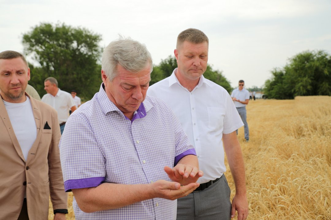 Василий Голубев: «Валовой сбор ранних зерновых достиг 663 тысяч тонн»